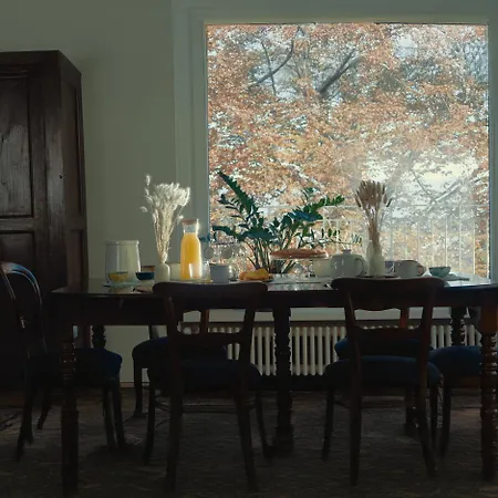 Il Faggio Rosso - 3*